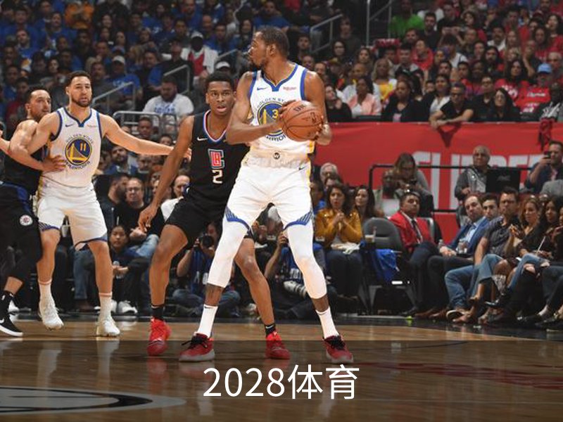 关于2028体育