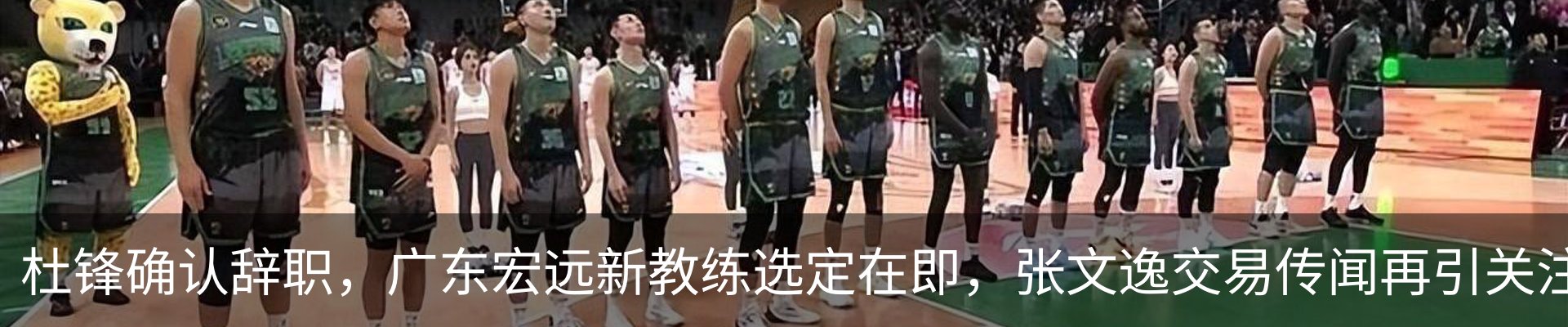 资讯动态